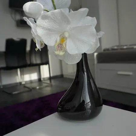 Apartment Kleines, Feines In